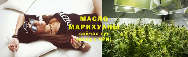 индика Новозыбков