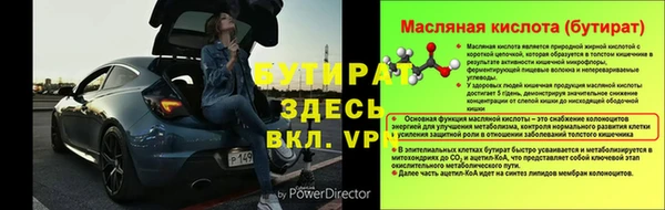 индика Новозыбков