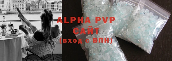 индика Новозыбков