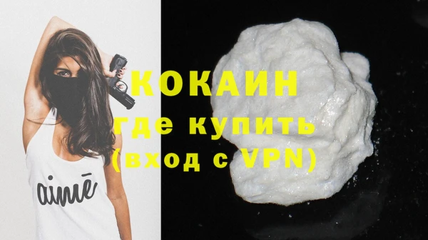 индика Новозыбков