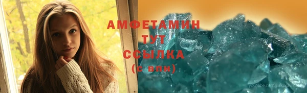 индика Новозыбков