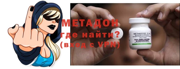 индика Новозыбков