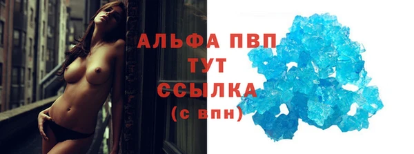 прущие грибы Новокубанск