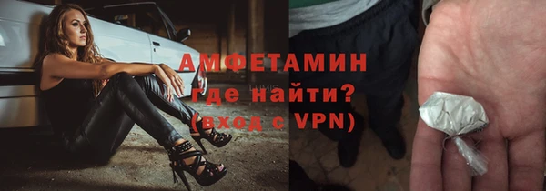сатива Горняк