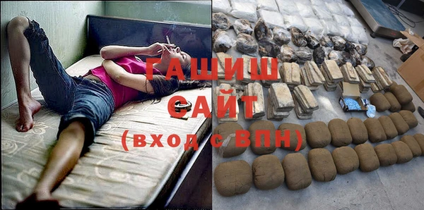 индика Новозыбков