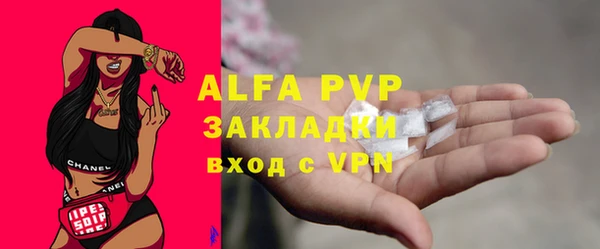 прущие грибы Новокубанск