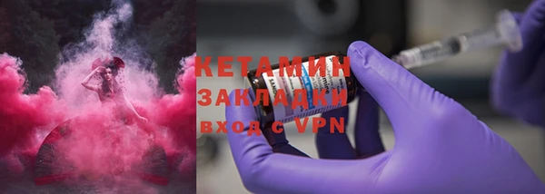 индика Новозыбков