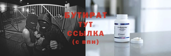 индика Новозыбков