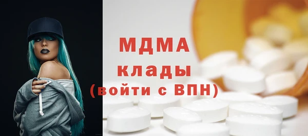 индика Новозыбков