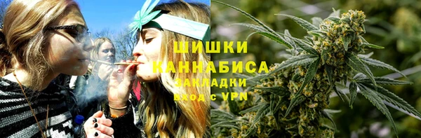 индика Новозыбков