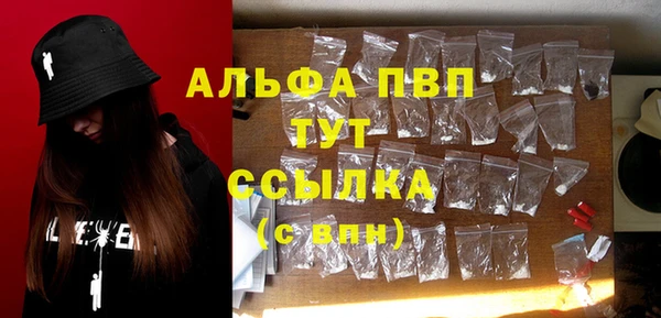 индика Новозыбков