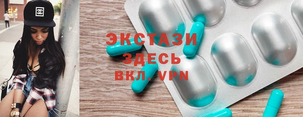 индика Новозыбков