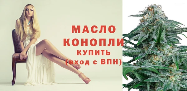 индика Новозыбков