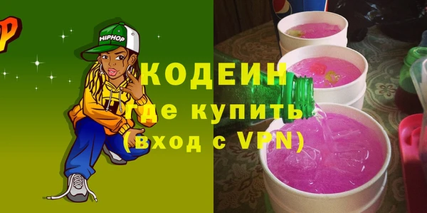 индика Новозыбков