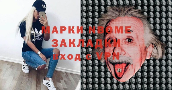 индика Новозыбков