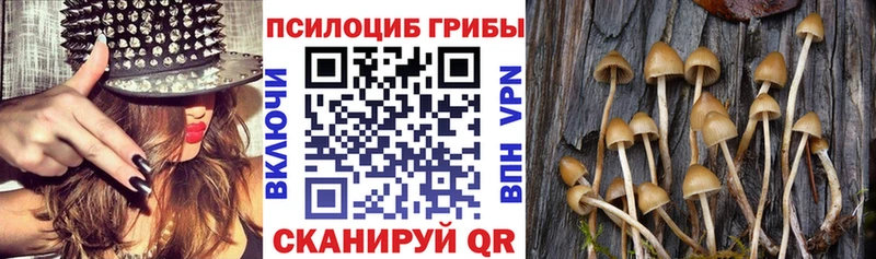 Псилоцибиновые грибы мицелий  Алапаевск 